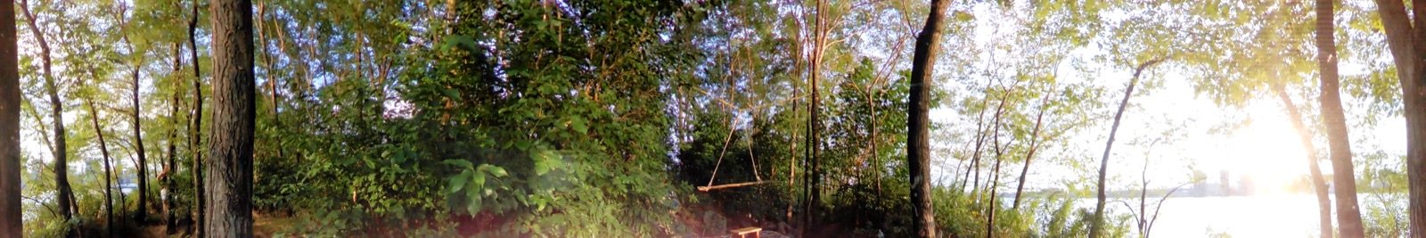 Immersive Landscapes 360 video